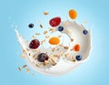 Milk splashes with oats and dried fruits floating in the air on a light blue background Royalty Free Stock Photo