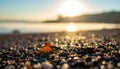 Golden Hour Beach Pebbles and Leaf Royalty Free Stock Photo