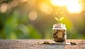 Plant Growing From Coins in a Jar Royalty Free Stock Photo