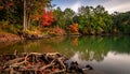 Serene Autumn Lake with Exposed Tree Roots and Vibrant Foliage Royalty Free Stock Photo