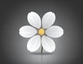 Flower icon isolated on dark background. Vector illustration Royalty Free Stock Photo