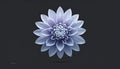 Flower icon isolated on dark background. Vector illustration Royalty Free Stock Photo