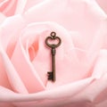 Small Vintage-Style Key Charm on Dusty Rose Backdrop with Sweet Soft Light Royalty Free Stock Photo