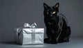 Black cat with silver gift box in an elegant gray style Royalty Free Stock Photo