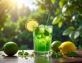 Green healthy cocktail with lemon Royalty Free Stock Photo