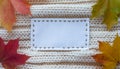 Autumnal Blank Label on Knitted Texture with Leaves Royalty Free Stock Photo