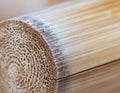Circular Bamboo Cross-Section Pattern in Natural Light Royalty Free Stock Photo
