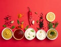 Different sauces, spices and herbs on a red background, straight line. Royalty Free Stock Photo