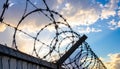 Barbed wire fencing on a sky background. Close up Royalty Free Stock Photo