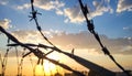 Barbed wire fencing on a sky background. Close up Royalty Free Stock Photo