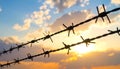 Barbed wire fencing on a sky background. Close up Royalty Free Stock Photo