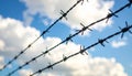 Barbed wire fencing on a sky background. Close up Royalty Free Stock Photo