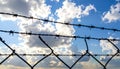 Barbed wire fencing on a sky background. Close up Royalty Free Stock Photo