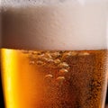 Golden beer with effervescent bubbles rising through the liquid, topped with a thick, frothy white foam. Royalty Free Stock Photo