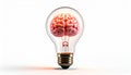 icon bulb brain Royalty Free Stock Photo