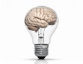 icon bulb brain Royalty Free Stock Photo