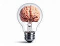 icon bulb brain Royalty Free Stock Photo