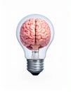 icon bulb brain Royalty Free Stock Photo