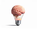 icon bulb brain Royalty Free Stock Photo