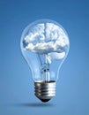 icon bulb brain Royalty Free Stock Photo