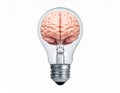 icon bulb brain Royalty Free Stock Photo