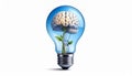 icon bulb brain Royalty Free Stock Photo
