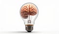 icon bulb brain Royalty Free Stock Photo