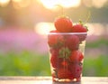 Soft Focus Strawberry in plastic cup in a park.- (Selective focus) Royalty Free Stock Photo