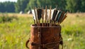 Vintage Quiver Full of Arrows in a Grassy Field Royalty Free Stock Photo