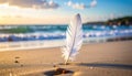 A Gentle Feather on a Sandy Shore Royalty Free Stock Photo