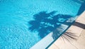 Palm Tree Shadow on a Sunny Swimming Pool Royalty Free Stock Photo