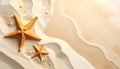 Starfish on a Sandy Beach Royalty Free Stock Photo
