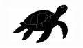 a silhouette of a turtle with a simple and attractive design illustration Royalty Free Stock Photo