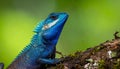 Blue-crested Lizard on tree with green background. Royalty Free Stock Photo