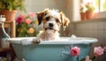 Cute Dog bathing in the tub Royalty Free Stock Photo