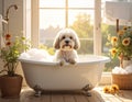 Cute Dog bathing in the tub Royalty Free Stock Photo