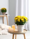 Pot with beautiful Chrysanthemum flowers and candles on table in room Royalty Free Stock Photo
