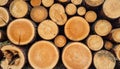 Background of dry chopped firewood logs stacked up on top of each other in a pile. Royalty Free Stock Photo