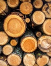 Background of dry chopped firewood logs stacked up on top of each other in a pile. Royalty Free Stock Photo