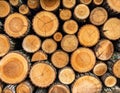 Background of dry chopped firewood logs stacked up on top of each other in a pile. Royalty Free Stock Photo