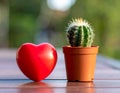 Toy heart and cactus illustration. Royalty Free Stock Photo