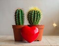 Toy heart and cactus illustration. Royalty Free Stock Photo