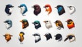 Vector of simple bird head symbols Royalty Free Stock Photo
