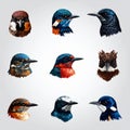 Vector of simple bird head symbols Royalty Free Stock Photo