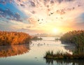 Water and birds. Wetland and waterfowls. Colorful nature background. Royalty Free Stock Photo