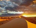 Golden Sunrise Over the Sahara Desert Royalty Free Stock Photo