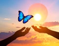 Butterfly Release at Sunset Royalty Free Stock Photo