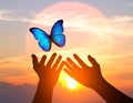 Reaching for Freedom: Butterfly and Sunset Royalty Free Stock Photo