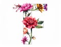 illustration of isolated alphabet F for flower on white background Royalty Free Stock Photo