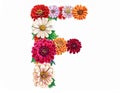 illustration of isolated alphabet F for flower on white background Royalty Free Stock Photo